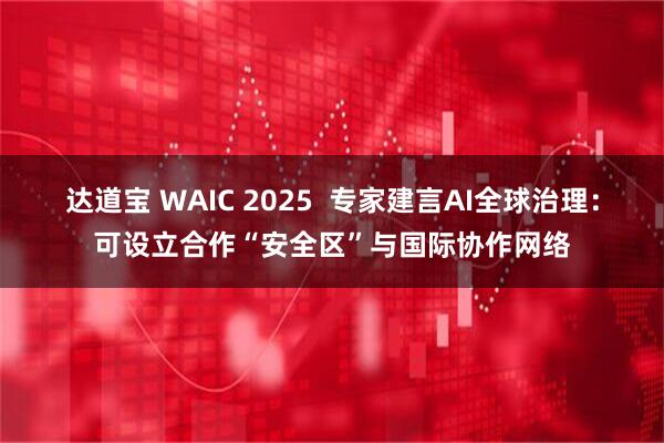 达道宝 WAIC 2025  专家建言AI全球治理：可设立合作“安全区”与国际协作网络