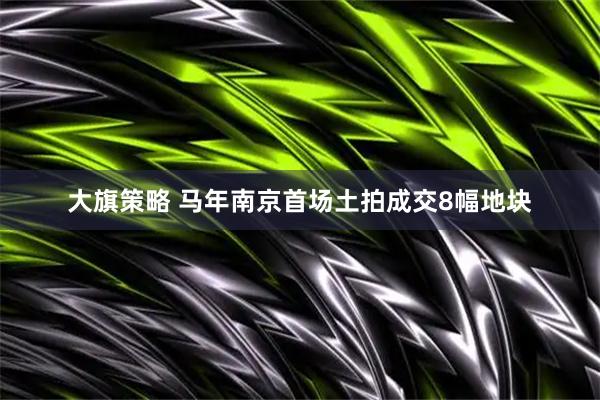 大旗策略 马年南京首场土拍成交8幅地块